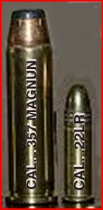 COMPARACIÓN DE CALIBRE .357 MAGNUM Y CALIBRE .22 LR